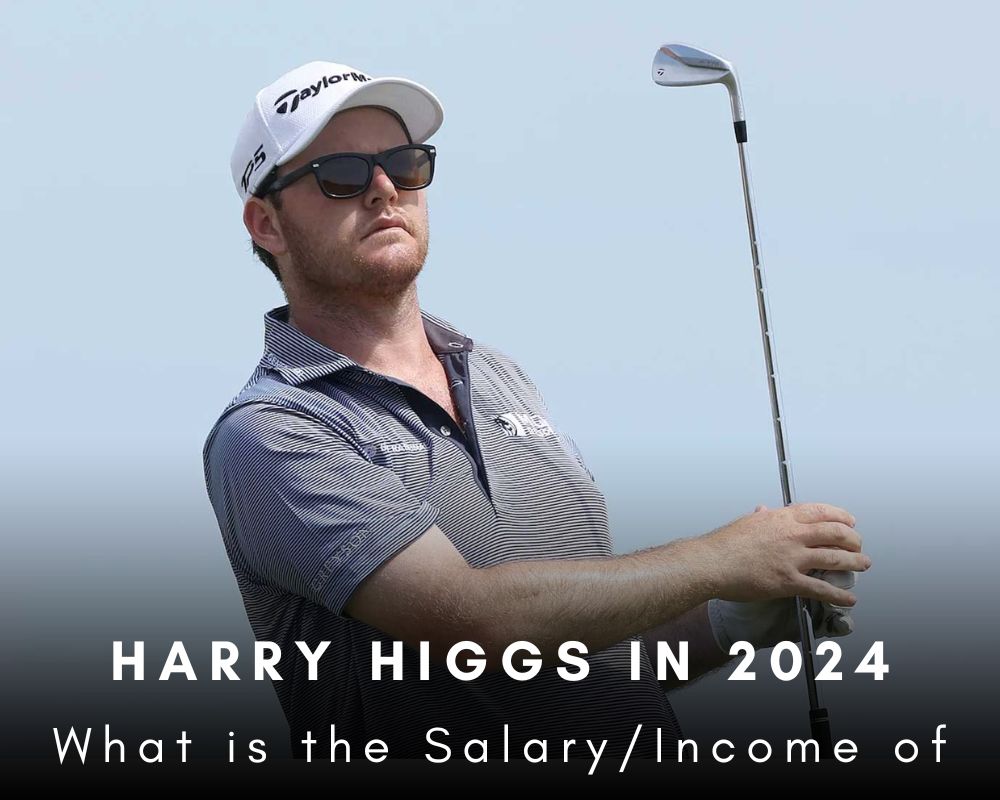 What is the SalaryIncome of Harry Higgs in 2024